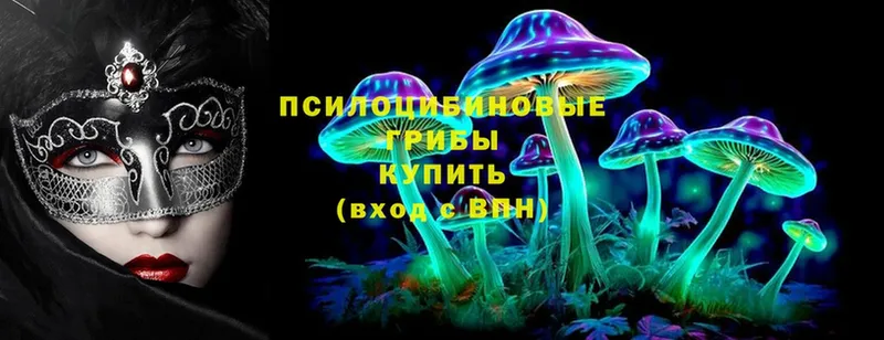 Галлюциногенные грибы Psilocybine cubensis  Пермь 